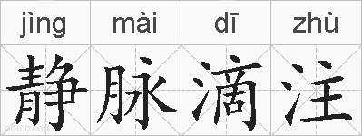 静脉滴注的拼音