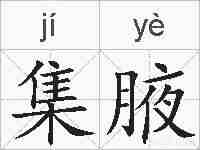 集腋的拼音