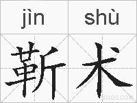 靳术的拼音