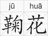 鞠花的拼音