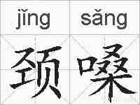 颈嗓的拼音