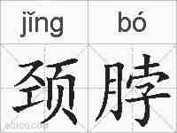 颈脖的拼音