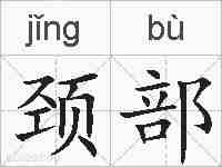 颈部的拼音