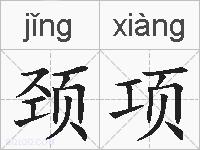 颈项的拼音