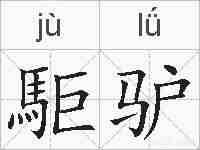 駏驴的拼音