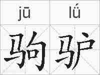 驹驴的拼音
