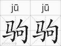驹驹的拼音
