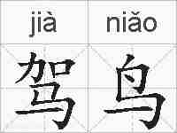 驾鸟的拼音