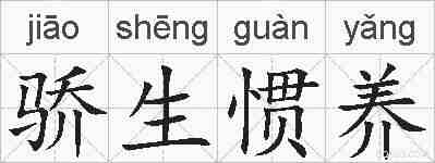 骄生惯养的拼音
