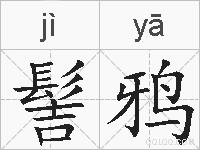 髻鸦的拼音