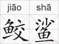 鲛鲨的拼音