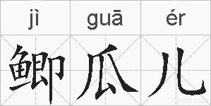 鲫瓜儿的拼音