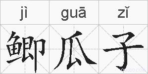 鲫瓜子的拼音