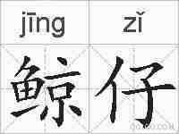 鲸仔的拼音