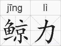 鲸力的拼音