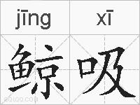 鲸吸的拼音
