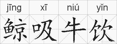 鲸吸牛饮的拼音