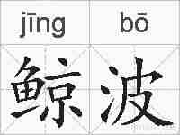 鲸波的拼音