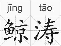 鲸涛的拼音