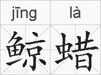 鲸蜡的拼音