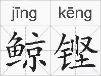 鲸铿的拼音