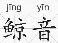 鲸音的拼音