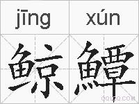 鲸鱏的拼音