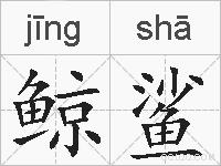 鲸鲨的拼音