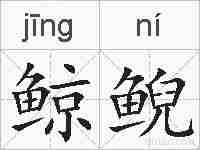 鲸鲵的拼音