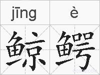 鲸鳄的拼音
