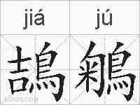 鴶鵴的拼音