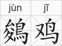 鵕鸡的拼音