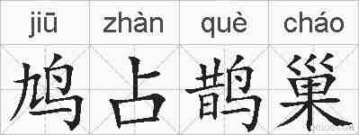 鸠占鹊巢的拼音