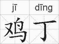 鸡丁的拼音