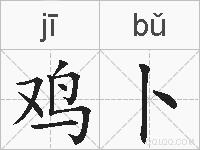 鸡卜的拼音