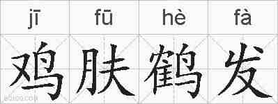 鸡肤鹤发的拼音