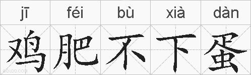 鸡肥不下蛋的拼音
