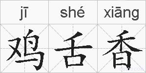 鸡舌香的拼音