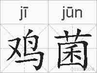鸡菌的拼音