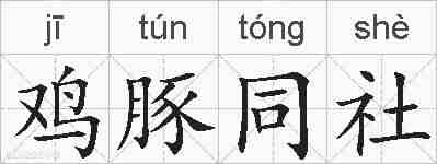 鸡豚同社的拼音