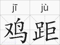 鸡距的拼音