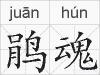 鹃魂的拼音