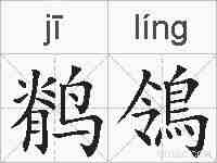鹡鴒的拼音