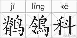鹡鴒科的拼音
