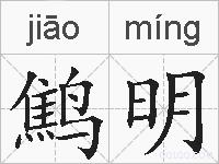 鹪明的拼音