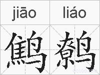鹪鹩的拼音