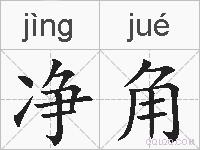 净角的拼音