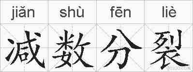 减数分裂的拼音