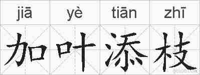 加叶添枝的拼音