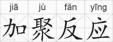 加聚反应的拼音